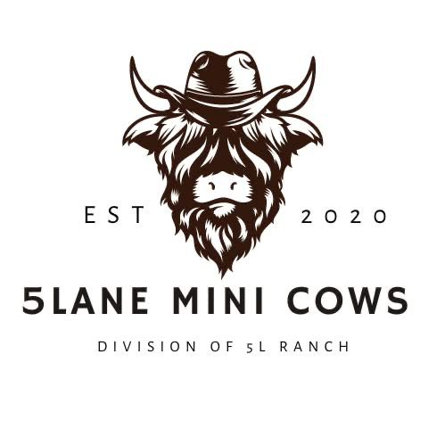 5 Lane Ranch