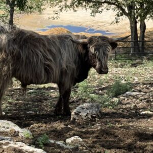Buster -- NEW PICTURES