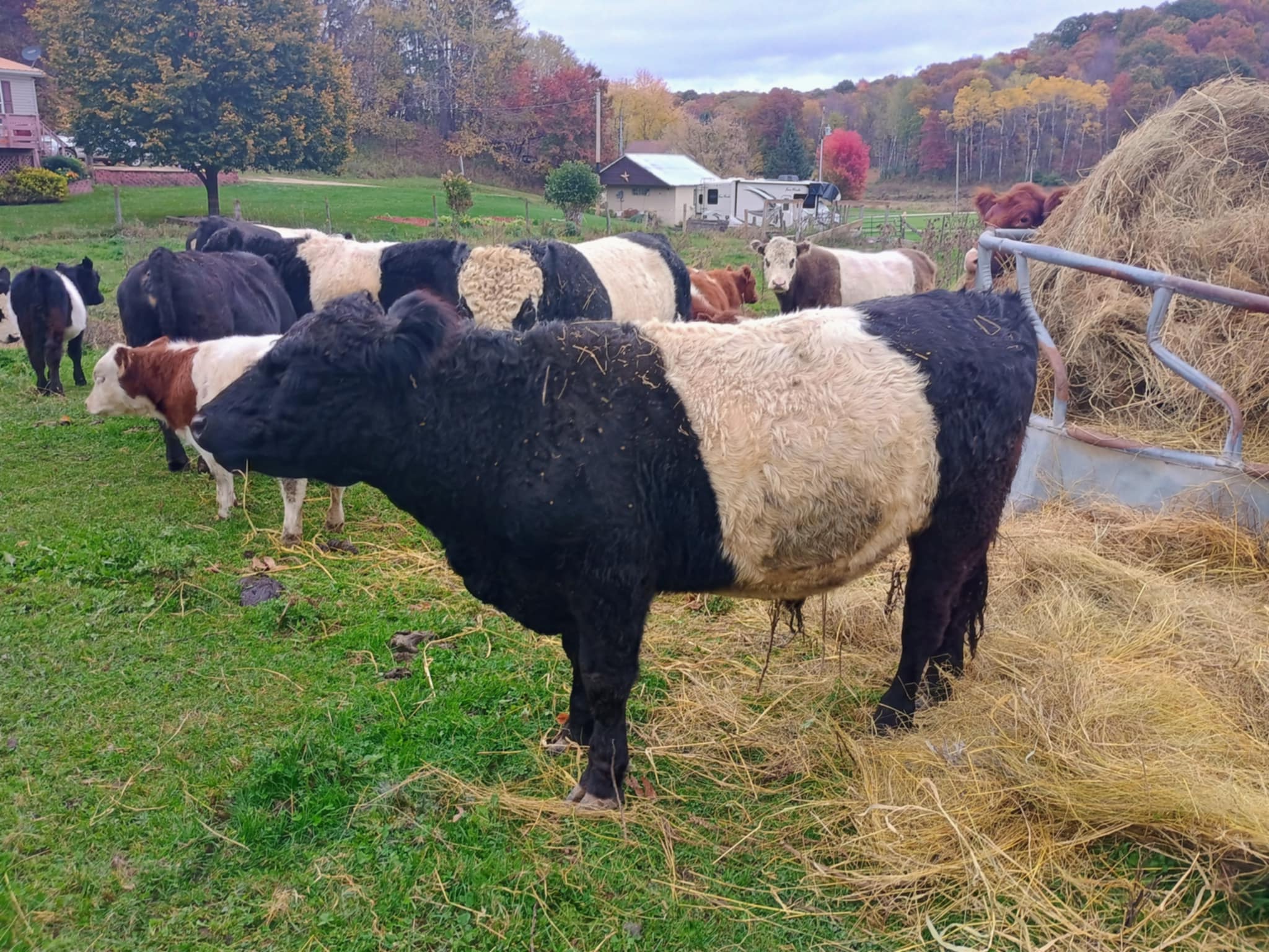 698e33dd-288b-4ac1-b981-1df2c8dc36a2 (1)