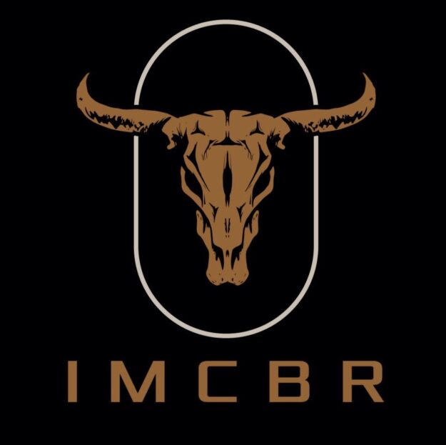 IMCBR