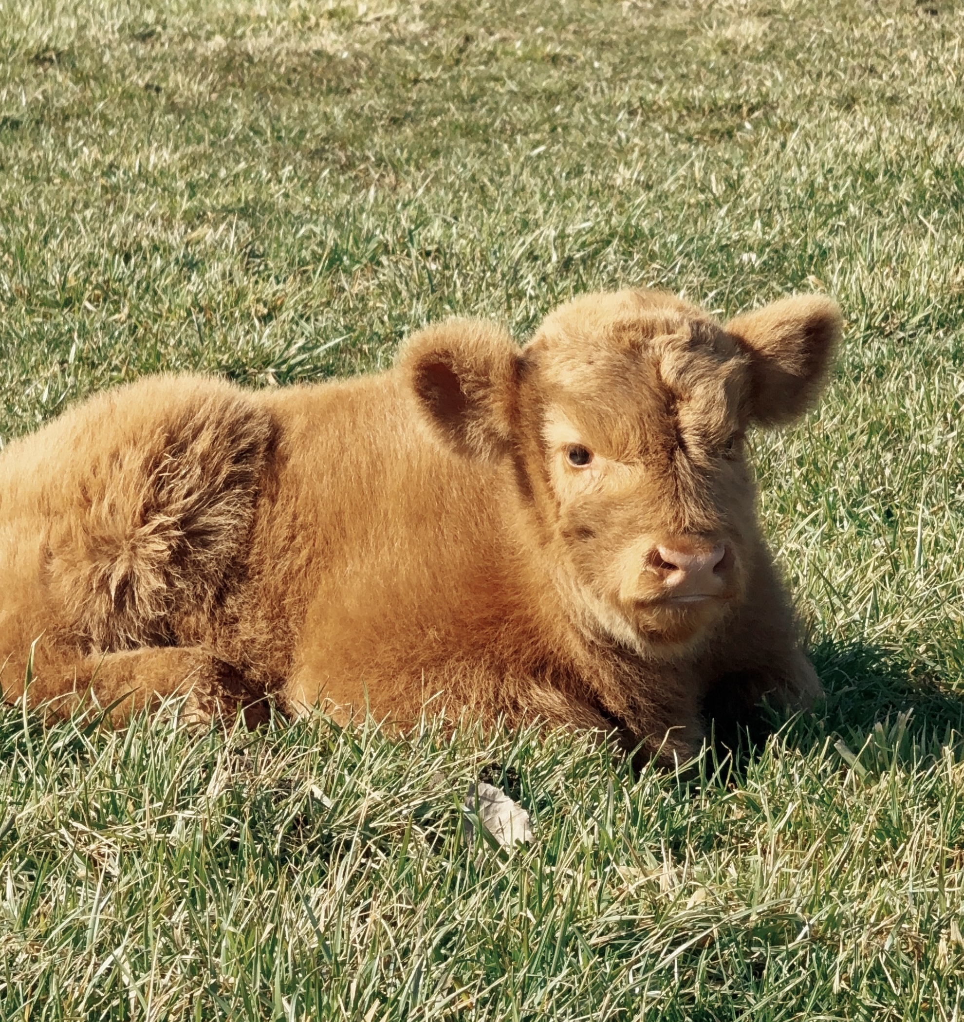 Processed with VSCO with kk1 preset