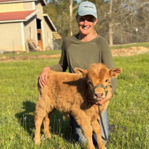 Fonzie—mini HiDex bull calf