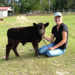Koda—mini highland x bull calf